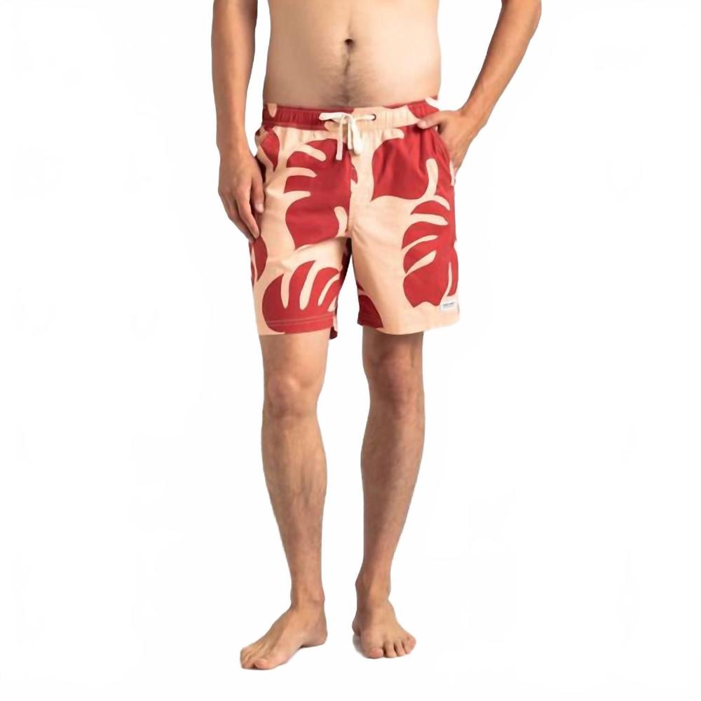 NEW BANKS JOURNAL fronds boardshort in print